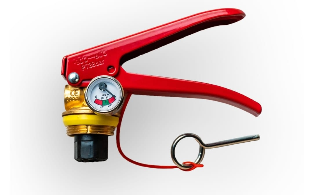 mmexportaci&oacute;n1718376743763