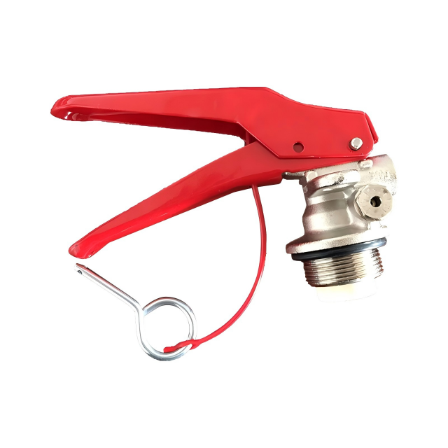 Válvula de extintor de polvo seco de alta calidad estándar CE de 4~12KG