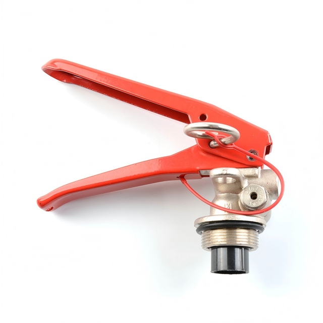 Válvula de extintor de incendios de polvo seco estándar CE M30 con válvula de seguridad