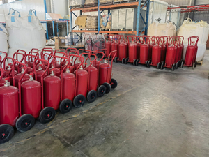 Extintor de polvo seco de 25 kg