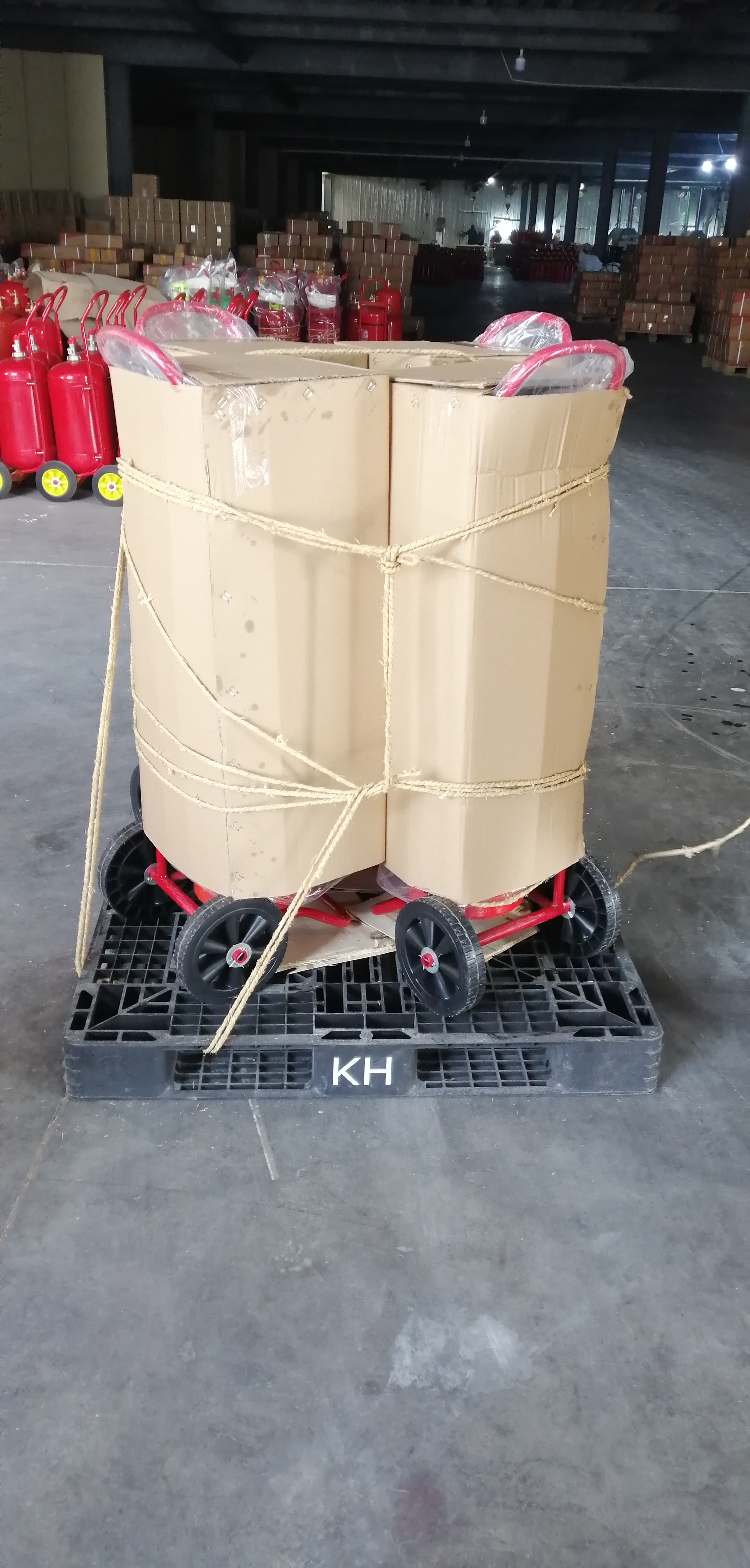 Extintor de polvo seco de 50 kg