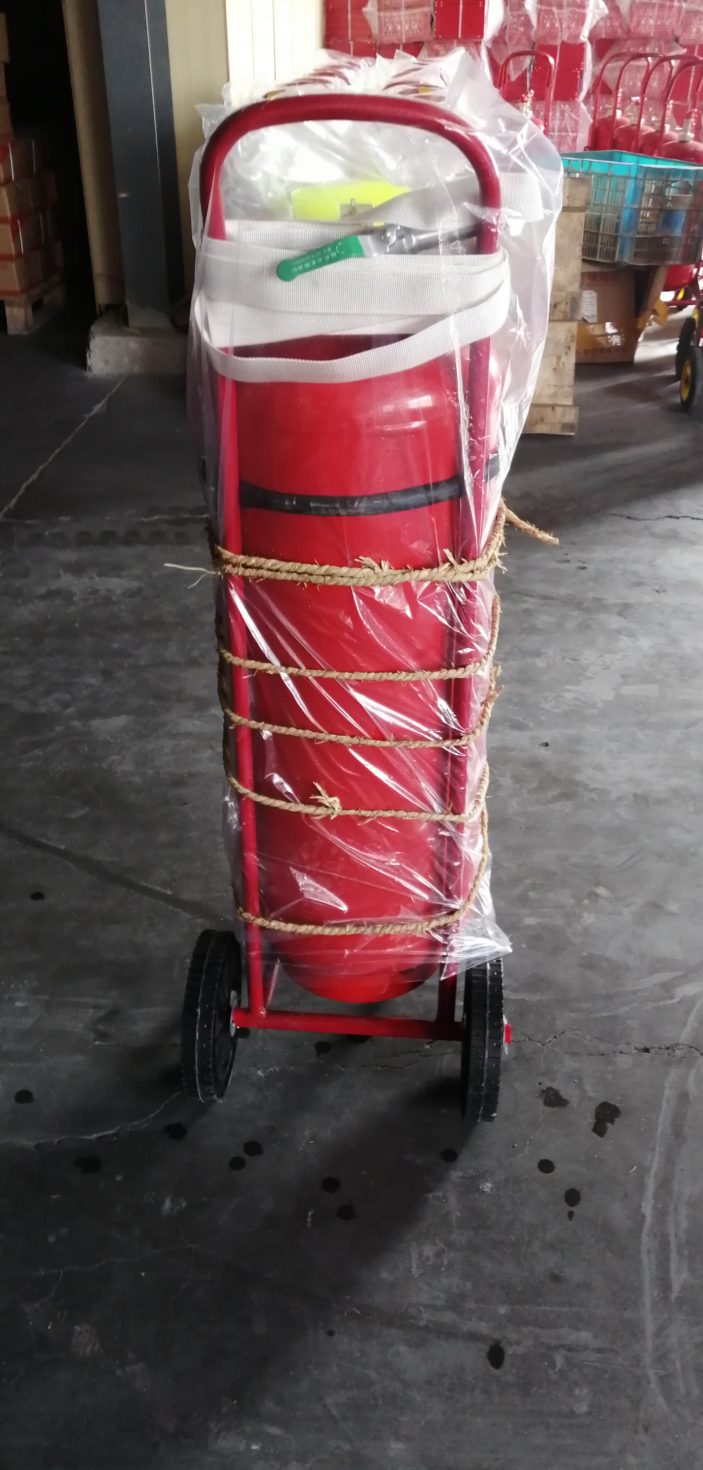 Extintor de polvo seco de 50 kg