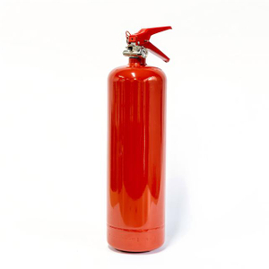 Extintor de incendios para coche, extintor de incendios portátil de polvo seco, 1kg, 2kg