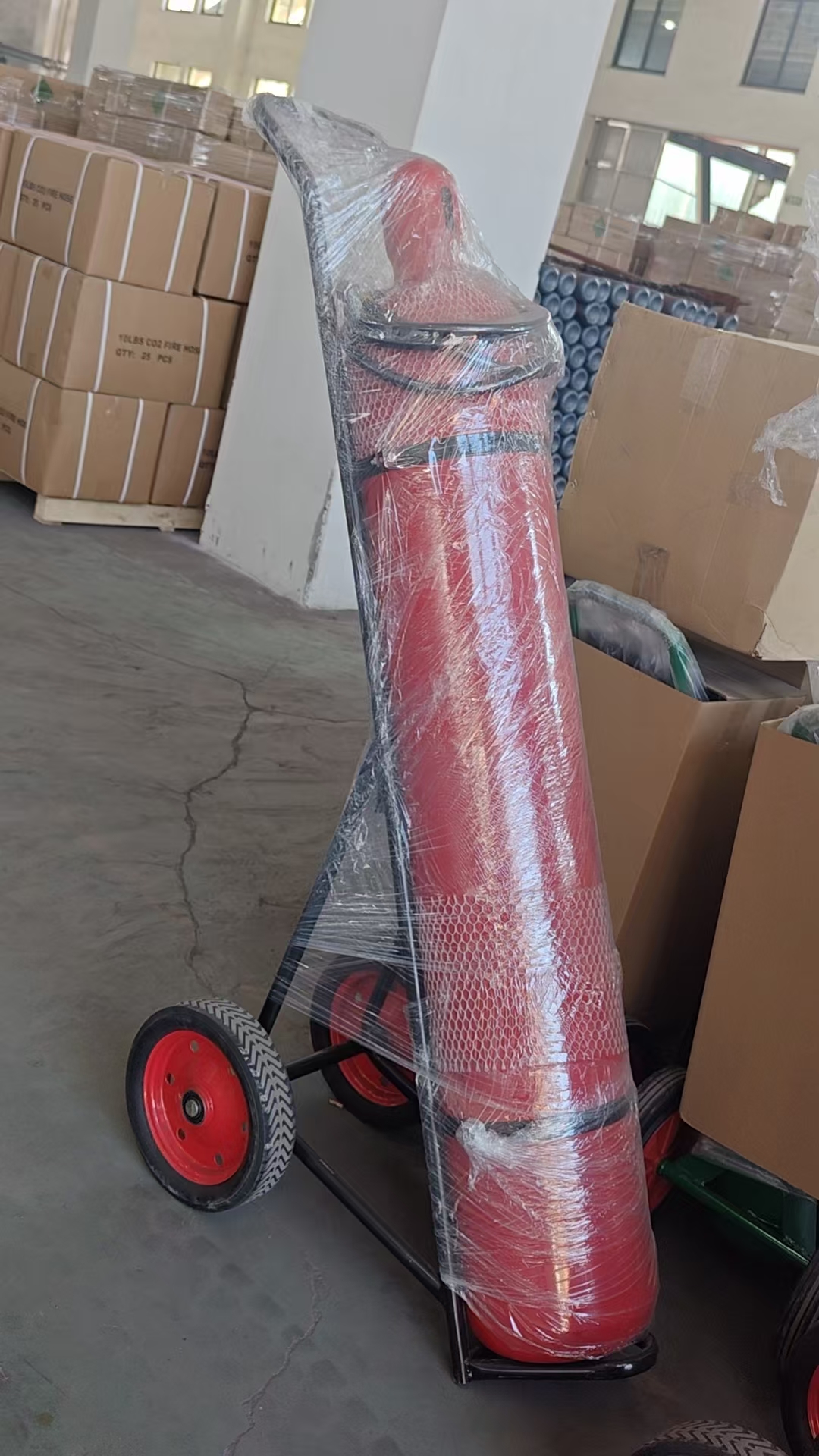 mmexportaci&oacute;n1743753899714 